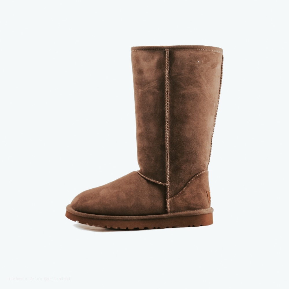 Brown ugg tall boots